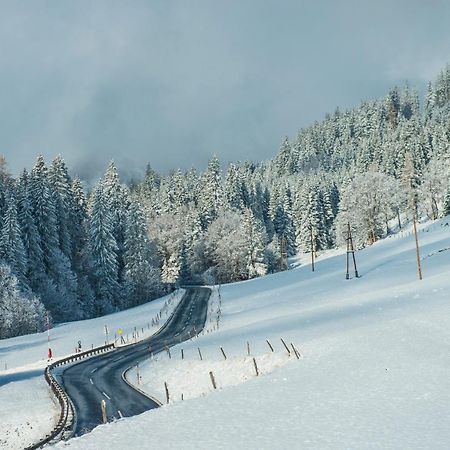 Mühlbach am HochkönigFerienbauernhof Elmaugut别墅 外观 照片