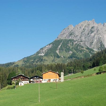 Mühlbach am HochkönigFerienbauernhof Elmaugut别墅 外观 照片